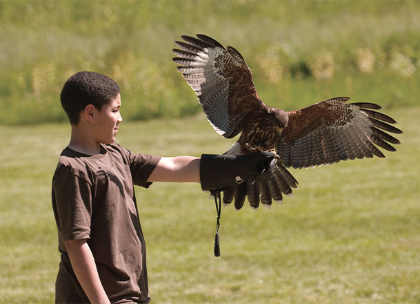 boy with falcon
