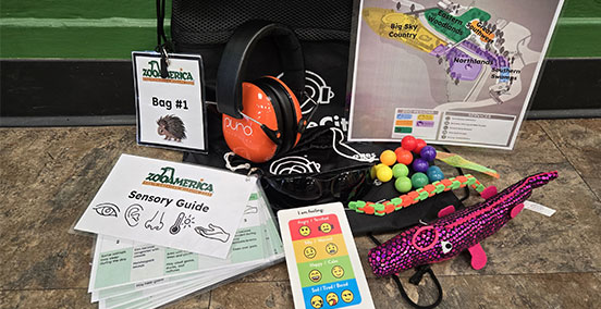 Inside of sensory bags including verbal cue cards, sensory glasses and more.